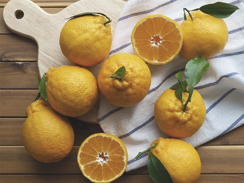 Cuánto zumo se obtiene por kilo de naranjas: claves para mejorar la rentabilidad