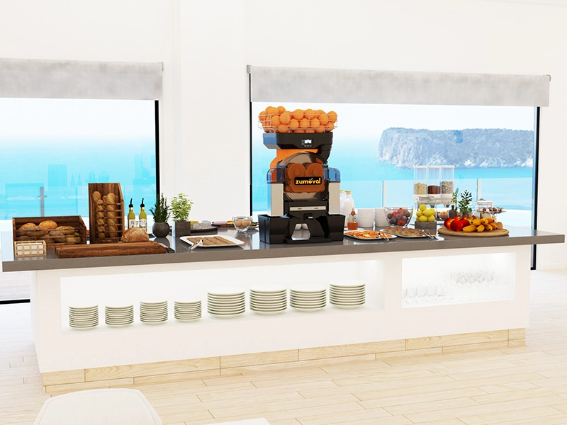 Professional juicers for hotels: what you need to know